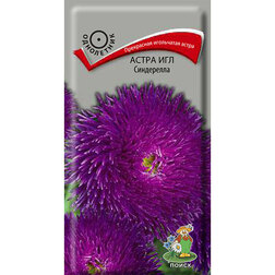 ����  ����� ��� ����������, ������ �� 26 ���