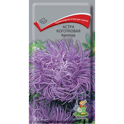 ����  ����� ���������� ���������, ������ �� 26 ���