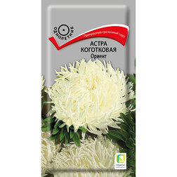 ����  ����� ���������� ������, ������ �� 26 ���