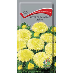 ����  ����� ���� ����� Ƹ����, ������ �� 66 ���