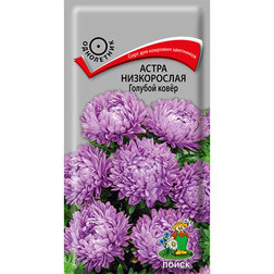 ����  ����� ����������� ������� ����, ������ �� 26 ���