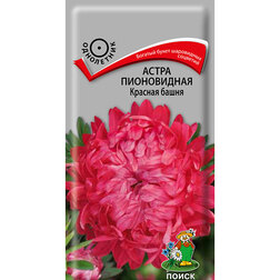 ����  ����� ����������� ������� �����, ������ �� 26 ���