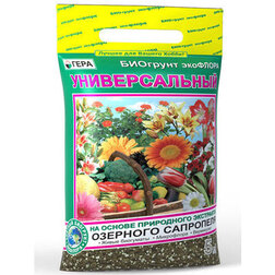 ����  ����� ��������� ������������� (5�.) (���- ������), ������ �� 110 ���