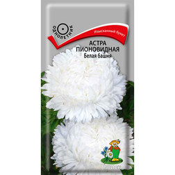 ����  ����� ����������� ����� �����, ������ �� 26 ���