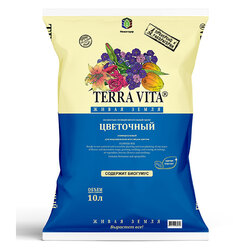 ����  ����� ����� ����� ��������� (10�.), ������ �� 231 ���