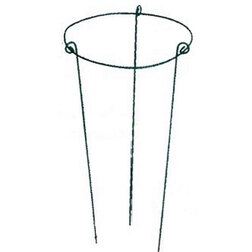 ����  �������������� ���� ���������, ������ �� 214 ���