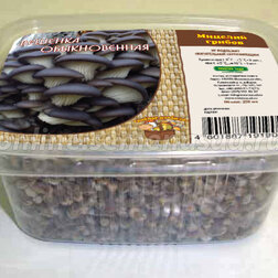 ����  ������� ������� ������������ (� ���������� �� 250 ��.), ������ �� 249 ���