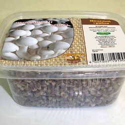 ����  ������� ��������� (� ���������� �� 250 ��.), ������ �� 283 ���