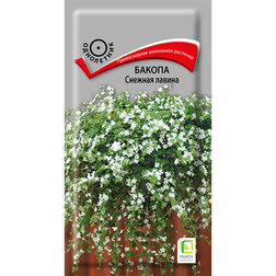 ����  ������ ������� ������, ������ �� 297 ���