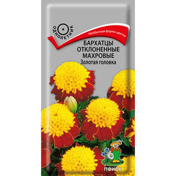 ����  �������� ����������� �������� ������� �������, ������ �� 26 ���