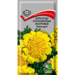 ����  �������� ����������� �������� ����� ����, ������ �� 26 ���