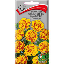 ����  �������� ����������� �������� ���������, ������ �� 26 ���