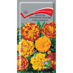 ����  �������� ����������� �������� ����� �������, ������ �� 26 ���