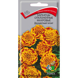 ����  �������� ����������� �������� ����������� ������, ������ �� 26 ���