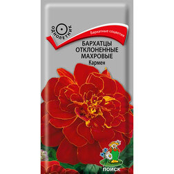 ����  �������� ����������� �������� ������, ������ �� 26 ���