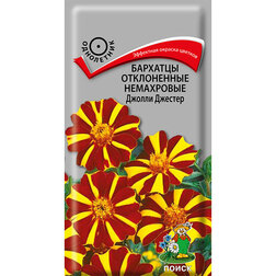 ����  �������� ����������� ���������� ������ �������, ������ �� 26 ���