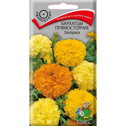 ����  �������� ������������ ��������, ������ �� 26 ���