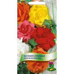 ����  ������� ��������� ���� � ���������, ������ �� 75 ���