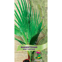 ����  ����������� �������� (���� ������. �� ����� 2024 �), ������ �� 45 ���