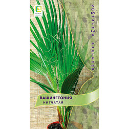 ����  ����������� ��������, ������ �� 90 ���