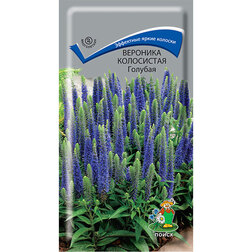 ����  �������� ���������� �������, ������ �� 26 ���