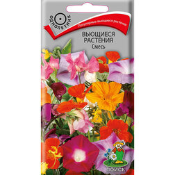 ����  �������� �������� �����, ������ �� 26 ���