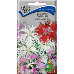 ����  �������� ������ ����� �������, ������ �� 26 ���