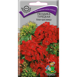 ����  �������� �������� ���� ���������, ������ �� 36 ���