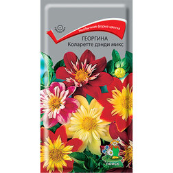 ����  �������� ��������� ����� ����, ������ �� 27 ���