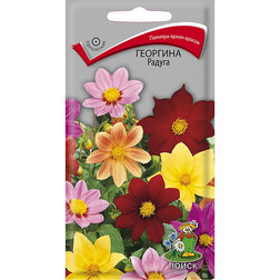 ����  �������� ������, ������ �� 31 ���