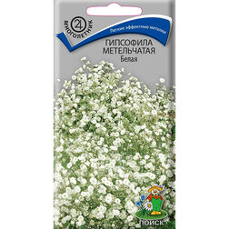 ����  ��������� ����������� �����, ������ �� 26 ���