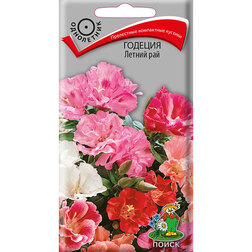 ����  ������� ������ ���, ������ �� 26 ���