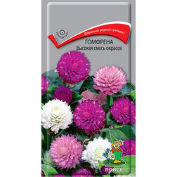 ����  �������� ������� ����� �������, ������ �� 26 ���