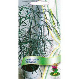 ����  ������ ���������� (�������), ������ �� 60 ���