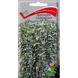 ����  �������� ���������� ����, ������ �� 270 ���