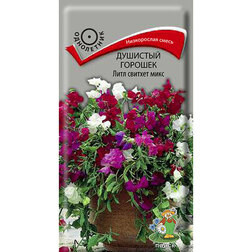 ����  �������� ������� ���� ������� ����, ������ �� 62 ���