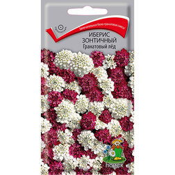 ����  ������ ��������� ���������� ���, ������ �� 27 ���