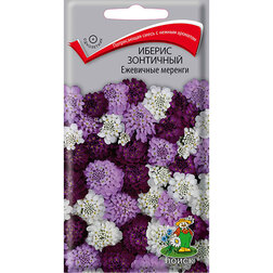 ����  ������ ��������� ��������� �������, ������ �� 27 ���