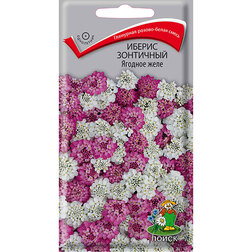 ����  ������ ��������� ������� ����, ������ �� 27 ���