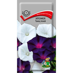 ����  ������ ����� �����, ������ �� 26 ���