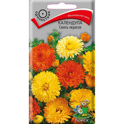 ����  ��������� ����� �������, ������ �� 26 ���