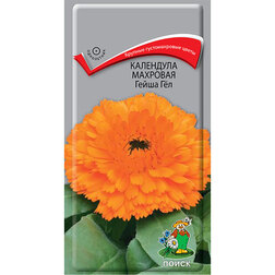 ����  ��������� �������� ����� ø�, ������ �� 29 ���