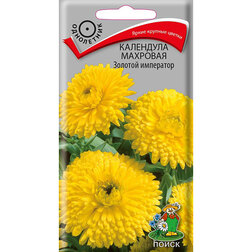 ����  ��������� �������� ������� ���������, ������ �� 26 ���