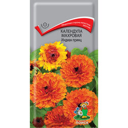 ����  ��������� �������� ������ �����, ������ �� 26 ���