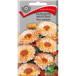 ����  ��������� �������� ���� ��������, ������ �� 26 ���