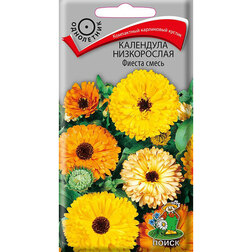 ����  ��������� ����������� ������ �����, ������ �� 27 ���