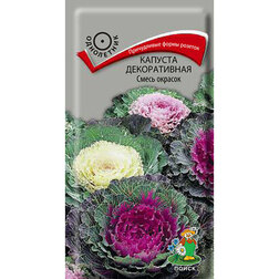 ����  ������� ������������ ����� �������, ������ �� 26 ���