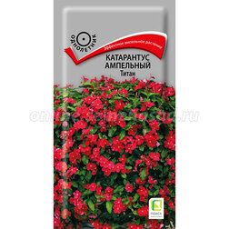 ����  ���������� ��������� �����, ������ �� 135 ���