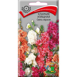 ����  ������� ������� ����� �������, ������ �� 26 ���