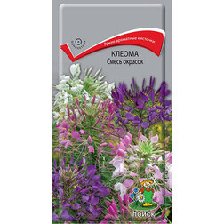 ����  ������ ����� �������, ������ �� 39 ���